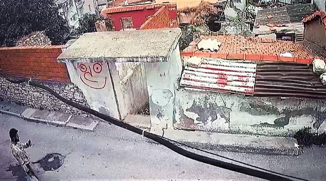 Kapanma ile ortaya çıktılar! Kuşadası'nda siyah yılan paniği 3